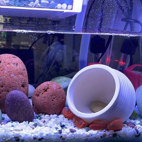 Saim Aquarium Jar Decorations - Fish Tank Ceramic Pot Cave Fish Breeding Cones Hideaway Cave for Fighting Fish, Cichlids, Amano Shrimp,Bonsai to Play, Hide and Rest [White] in Saudi Arabia