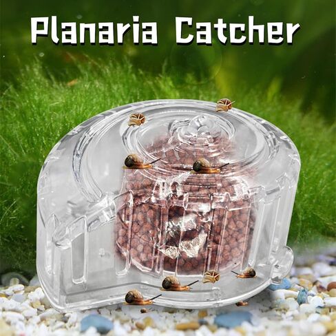 aiqriwv فخ الحلزون حوض السمك، الماسك الحلزون لخزان الأسماك لا بلاناريا، فخ بلاناريا شفافة لحوض السمك حوض السمك بلاناريا علقة الحلزون الصغير in Kuwait