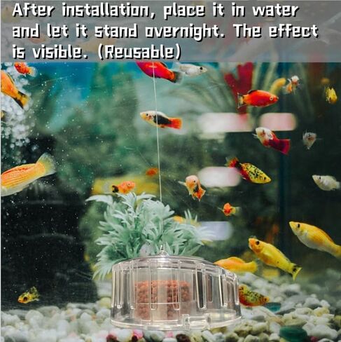 aiqriwv فخ الحلزون حوض السمك، الماسك الحلزون لخزان الأسماك لا بلاناريا، فخ بلاناريا شفافة لحوض السمك حوض السمك بلاناريا علقة الحلزون الصغير in Kuwait