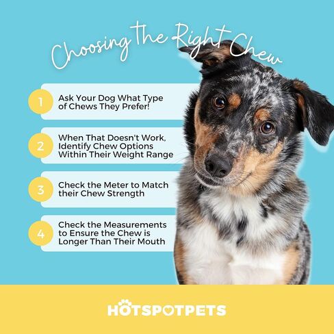 hotspot pets Premium 12'' Beef Trachea for Dogs Large - All Natural Long Lasting Dog Chews Rich in Glucosamine & Chondroitin 100% Beef Chews Single Ingredient Grass Fed Dog Treats in Kuwait