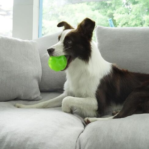 Dog Balls for Aggressive Chewers: Dog Toy Balls Interactive Dog Ball Virtually Indestructible Dog Ball Toy Dog Balls for Large Dogs Squeaky Dog Ball Pet Ball in Saudi Arabia