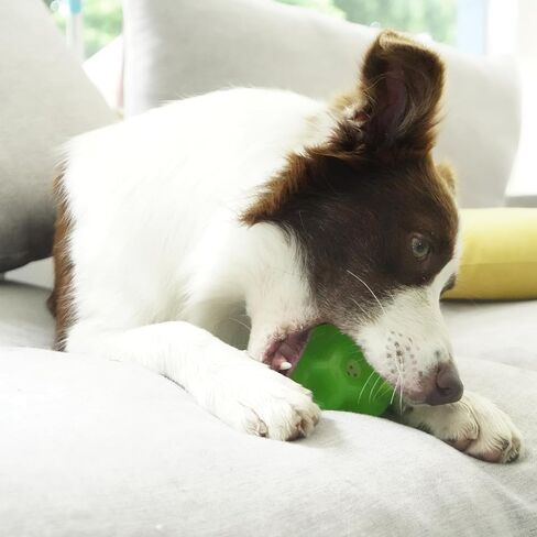 Dog Balls for Aggressive Chewers: Dog Toy Balls Interactive Dog Ball Virtually Indestructible Dog Ball Toy Dog Balls for Large Dogs Squeaky Dog Ball Pet Ball in Saudi Arabia