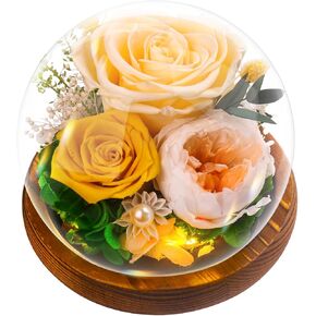 Forever Flowers, Roses Gift - Gifts for Women Preserved Rose in Glass Dome with LED Light Long-Lasting Real Flowers for Her, Unique for Anniversary,Thanksgiving & Christmas