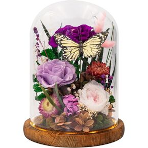 Decorative Glass Vase with Preserved Flowers and Butterfly, Unique Love Token for Her, Girlfriend Wife BBF - Long-Lasting Real Roses - for Home or Event décor (Champagne, Orange, Pink)