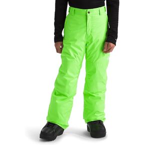 THE NORTH FACE Boys' Freedom Insulated Pant