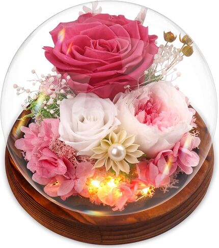 Forever Flowers, Roses Gift - Gifts for Women Preserved Rose in Glass Dome with LED Light Long-Lasting Real Flowers for Her, Unique for Anniversary,Thanksgiving & Christmas in Saudi Arabia