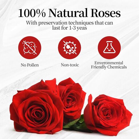 13 Forever Roses Heart-Shaped Leather Box Preserved Flowers Gift for Girl Friend Wife Women Valentine's Day Mother’s Day Birthday Anniversary for Her (Red) in Saudi Arabia