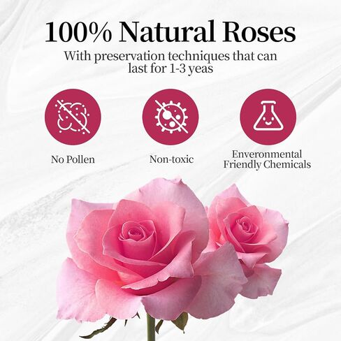 13 Forever Roses Heart-Shaped Leather Box Preserved Flowers Gift for Girl Friend Wife Women Valentine's Day Mother’s Day Birthday Anniversary for Her (Red) in Saudi Arabia