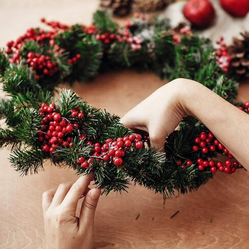 10 Packs Christmas Metal Wreath Frame Green Round Wire Wreath Making Ring DIY Macrame Floral Crafts Wire Form Christmas Decoration Door Craft (10 Inches) in Saudi Arabia