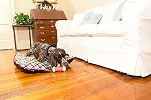 لعبة مضغ الحيوانات الأليفة من شركة PetSafe، لعبة مضغ للرياضيين الكبار من Nobbly Nubbly in Kuwait