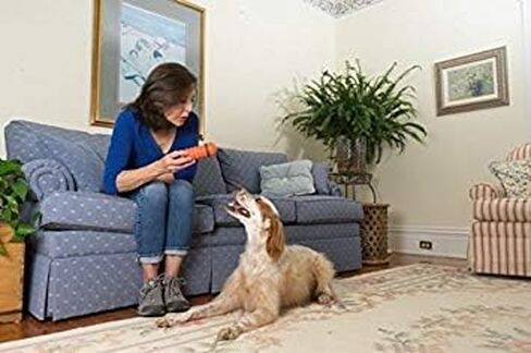لعبة مضغ الحيوانات الأليفة من شركة PetSafe، لعبة مضغ للرياضيين الكبار من Nobbly Nubbly in Kuwait