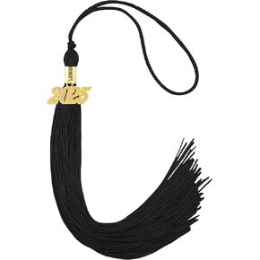 2025 Graduation Tassel, Academic Graduation Cap Tassel 2025, 2025 Tassel Graduation, 2025 Tassel with 2025 Year Gold Date Charms for 2025 Grads, Graduates Graduation Cap Hat Decorations, Blue