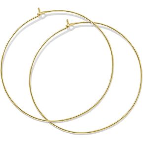 Jewelry: Hoop Earrings for Women – Lifetime Color Guarantee – Waterproof, Non-Tarnish, Hypoallergenic, Gold PVD Coated – Perfect for Beach, Weddings, Gifts – Small to Large Sizes