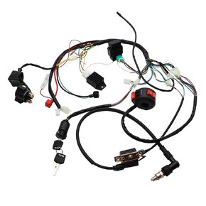 Full Electrics Wiring Harness Coil CDI 50/70/110cc ATV Quad Bike Buggy Go Kart