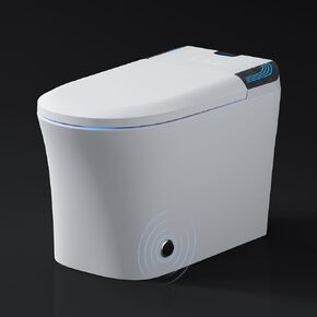 Smart Toilet with Bidet Built In, One Piece Elongated Tankless Electric Toilet with Warm Water Sprayer & Dryer, Heated Bidet Seat, LED Display, Remote Control, Black-out Flushing and Water Filter