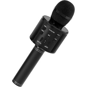 Great Gifts Toys Microphone
