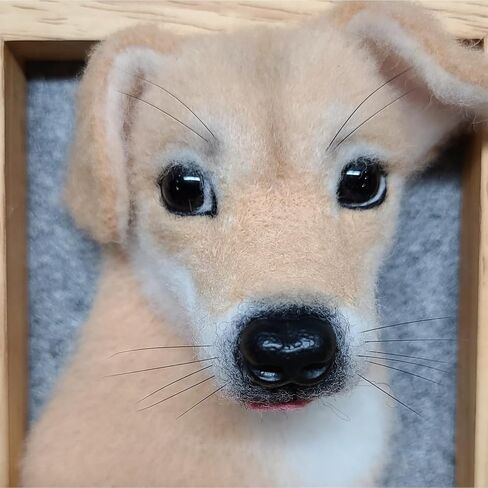 500 قطعة من شعيرات الحيوانات المحشوة للتلبيد بالإبر اليدوية، متوفرة في زجاجات صغيرة فردية، 250 شعيرات حيوانات محشوة باللونين الأسود والبني، ملحقات يمكنك صنعها بنفسك in Kuwait