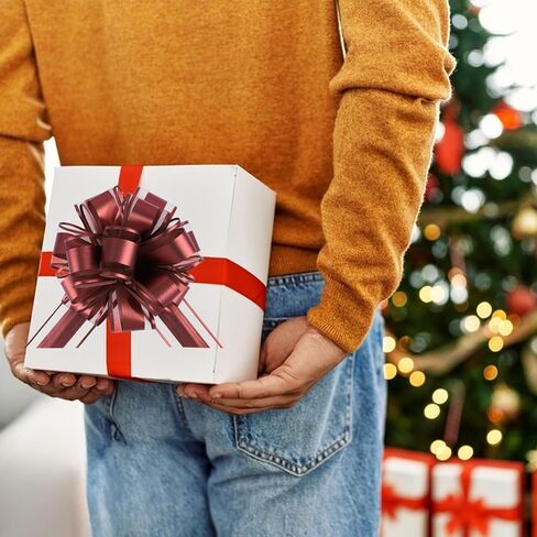 12 Pieces Big Pull Bow Gift Wrapping,6 inches, Pull Bow Ribbon Pull Bows for Christmas Wedding Baskets Valentine's Day Bows Ribbon Large Bow for Gift Wrapping (Brown) in Saudi Arabia
