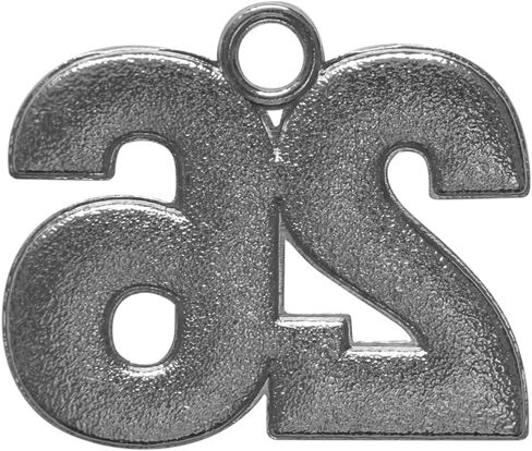Endea Graduation Tassel Bling Charm Silver Date Drop Year (Silver, 2025) in Saudi Arabia