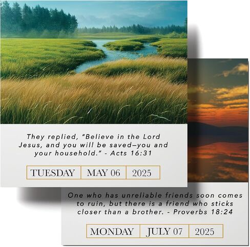 Hannah Faith A Bible Verse A Day 2025 Calendar | 300+ Christian Verses from the NIV Bible to Inspire Your Daily Devotional, Positive Motivational Religious Daily Verses for Men & Women in Saudi Arabia