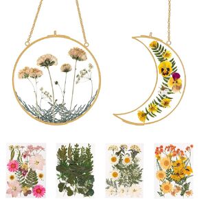 Double Glass Frame for Pressed Flowers - w/Real Dried Flowers and Tweezer -Sun and Moon Shaped frames for crafts, photos or other small flat items