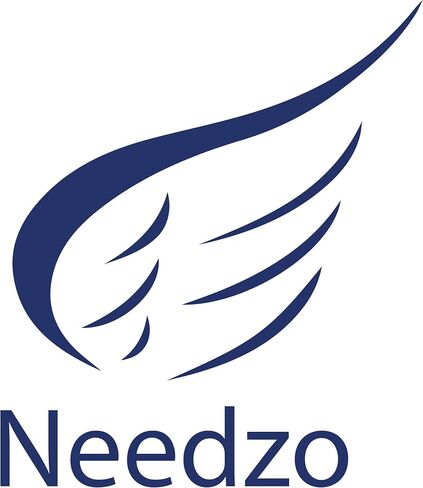 عصابة رأس Needzo Halloween 2024 Spiderweb Fascinator، إكسسوارات الأزياء والحفلات، بطول 15.24 سم × عرض 13.97 سم in Saudi Arabia