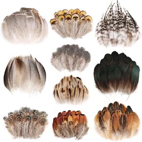 MehelloFeather Small Natural Pheasant Feathers 10 Style Mixed Feathers for Cowboy Hat Decorative Feathers (300Pcs)