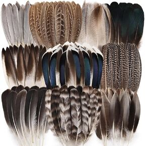 iHUFeather 40pcs Natural Pheasant Feathers Bulk Spotted Feathers 5 Styles Mixed Feathers for Crafts DIY Hat Floral Arrangements Wedding Home Decorations