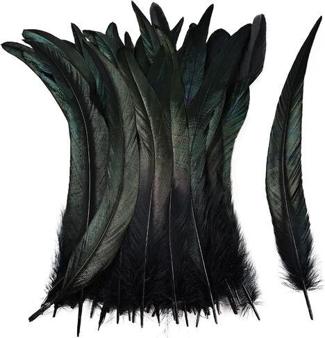iHUFeather Natural Rooster Tail Feathers 50pcs 10-12inch Long Rooster Coque Tail Feathers Bulk for DIY Crafts Costume and Halloween Party Performances Decoration(Black) in Saudi Arabia