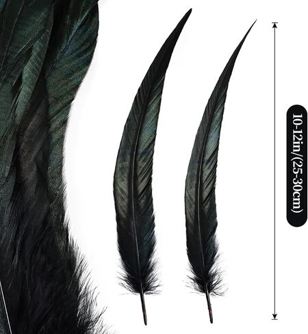 iHUFeather Natural Rooster Tail Feathers 50pcs 10-12inch Long Rooster Coque Tail Feathers Bulk for DIY Crafts Costume and Halloween Party Performances Decoration(Black) in Saudi Arabia