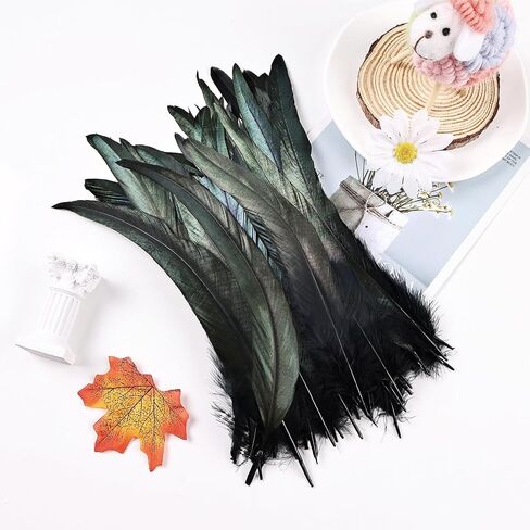 iHUFeather Natural Rooster Tail Feathers 50pcs 10-12inch Long Rooster Coque Tail Feathers Bulk for DIY Crafts Costume and Halloween Party Performances Decoration(Black) in Saudi Arabia