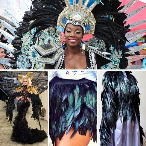 iHUFeather Natural Rooster Tail Feathers 50pcs 10-12inch Long Rooster Coque Tail Feathers Bulk for DIY Crafts Costume and Halloween Party Performances Decoration(Black) in Saudi Arabia