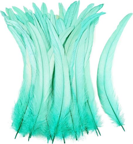 iHUFeather Natural Rooster Tail Feathers 50pcs 10-12inch Long Rooster Coque Tail Feathers Bulk for DIY Crafts Costume and Halloween Party Performances Decoration(Black) in Saudi Arabia