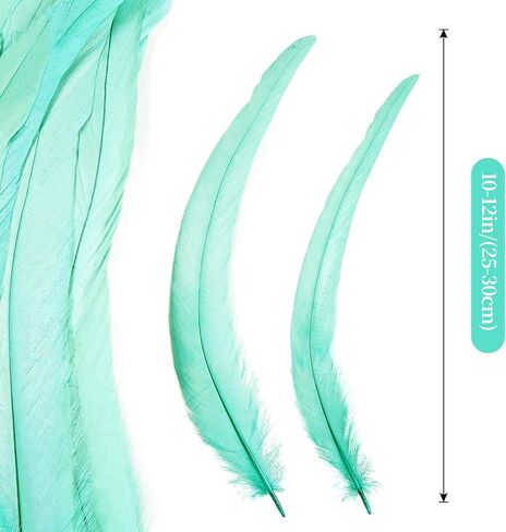 iHUFeather Natural Rooster Tail Feathers 50pcs 10-12inch Long Rooster Coque Tail Feathers Bulk for DIY Crafts Costume and Halloween Party Performances Decoration(Black) in Saudi Arabia