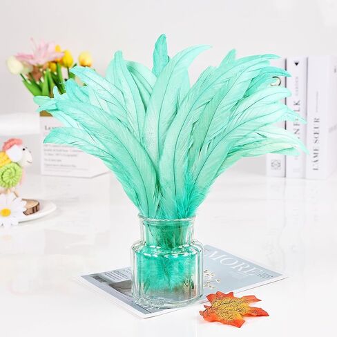 iHUFeather Natural Rooster Tail Feathers 50pcs 10-12inch Long Rooster Coque Tail Feathers Bulk for DIY Crafts Costume and Halloween Party Performances Decoration(Black) in Saudi Arabia