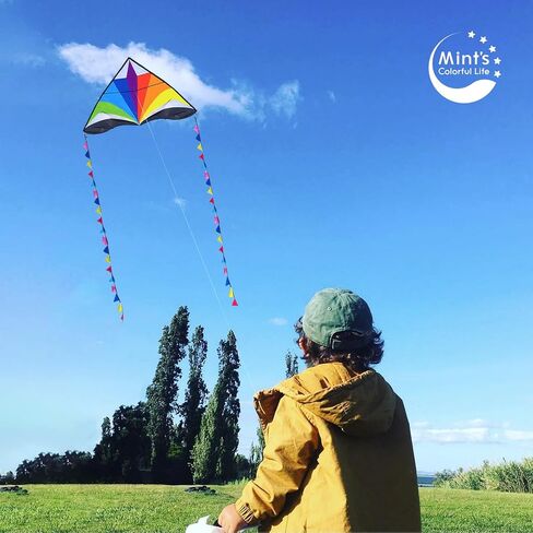 Mint's Colorful Life Rainbow Delta Kite for Kids & Adults, Easy to Fly Kite for Beginners, 300ft Kite Line Handle Included in Saudi Arabia