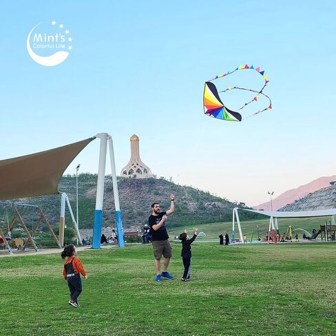 Mint's Colorful Life Rainbow Delta Kite for Kids & Adults, Easy to Fly Kite for Beginners, 300ft Kite Line Handle Included in Saudi Arabia