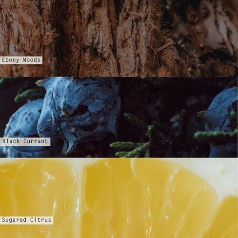 ILLUME Mercury Ornament Green Candle, Balsam & Cedar in Kuwait