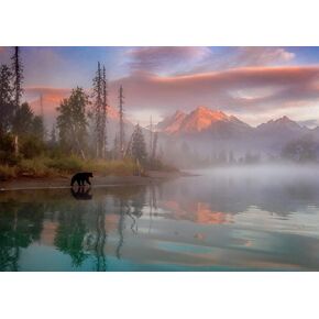 Buffalo Games - Molly McCormick - Bear Reflections - 500 Piece Jigsaw Puzzle for Adults Challenging Puzzle Perfect for Game Nights - 500 Piece Finished Size is 21.25 x 15.00