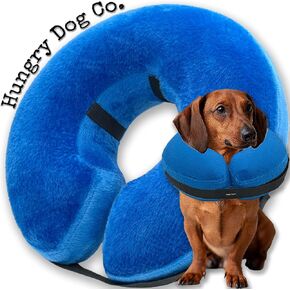 Hungry Dog Co - طوق كلب ممتاز قابل للنفخ للكلاب والقطط - يساعد على تعافي الحيوانات الأليفة - مريح وآمن لحيوانك الأليف - طوق إلكتروني ناعم - رمادي، صغير (رقبة من 7 إلى 11 بوصة) in Saudi Arabia