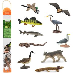 Safari Ltd. Great Lakes TOOB - Figurines of Mudpuppy, Dragonfly, Water Snake, Bat, Goose, Herring Gull, Blue Heron, Lynx, Sturgeon, Yellow Perch - Educational Toys for Boys, Girls & Kids Ages 3+