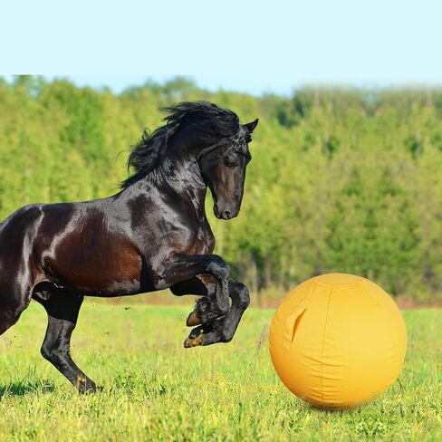 كرة الرعي للكلاب، كرة الحصان، كرة قدم كبيرة للكلاب، كرة جولي للخيول، غطاء كرة عالي التحمل للعب الكلاب للخيول، كرة أرجوانية مقاس 25 بوصة in Kuwait