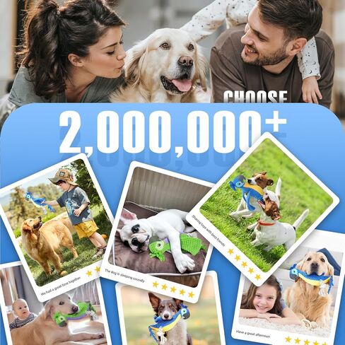 لعبة الكلب المخملية من روزاوي - تصميم رائع للببغاء، سروال قصير ناعم مع ملمس الأناناس، لعب تفاعلي للكلاب in Kuwait