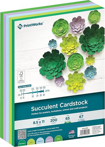 Printworks Succulent Cardstock، ثقيل الوزن، قلب صلب، 8.5 بوصة × 11 بوصة، 200 ورقة (00601) in Kuwait