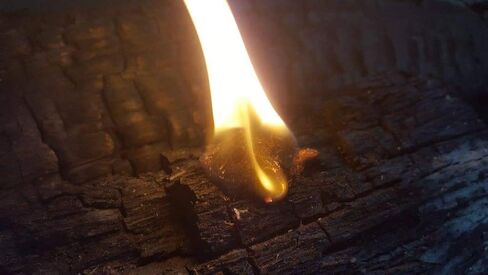 Fire Starter Natural Wood Fiber Tinder, Water Resistant, Survival Kit Camping Kit in Waterproof Tin in Saudi Arabia