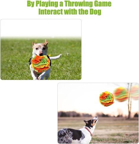 كرة سنفل من جيهونك للكلاب، كرة سنفل للكلاب مقاس 5.9 بوصة، كرة سنفل للحيوانات الأليفة، تدريب مهارات البحث عن الطعام الطبيعية، كرة لعبة ألغاز إثراء للكلاب، كرة ألغاز للكلاب المتوسطة الصغيرة in Kuwait