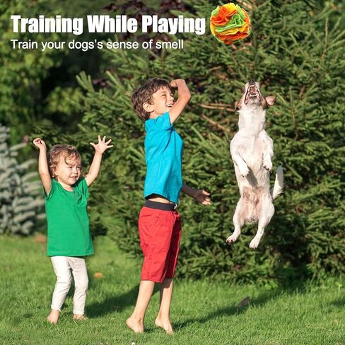 كرة سنفل من جيهونك للكلاب، كرة سنفل للكلاب مقاس 5.9 بوصة، كرة سنفل للحيوانات الأليفة، تدريب مهارات البحث عن الطعام الطبيعية، كرة لعبة ألغاز إثراء للكلاب، كرة ألغاز للكلاب المتوسطة الصغيرة in Kuwait