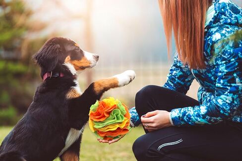 كرة سنفل من جيهونك للكلاب، كرة سنفل للكلاب مقاس 5.9 بوصة، كرة سنفل للحيوانات الأليفة، تدريب مهارات البحث عن الطعام الطبيعية، كرة لعبة ألغاز إثراء للكلاب، كرة ألغاز للكلاب المتوسطة الصغيرة in Kuwait