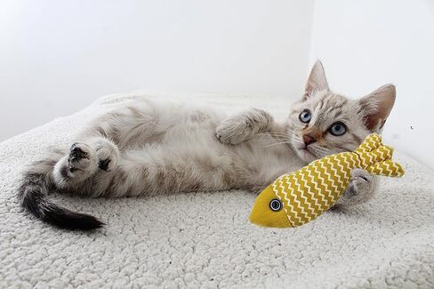 AixyZzz Catnip Toys for Cats Fish Toys Simulation Fish Realistic Fluffy Cat Nip Toys Interactive Kitten Chew Toys Set for Indoor Cats Teething Toys (3 Same) in Kuwait