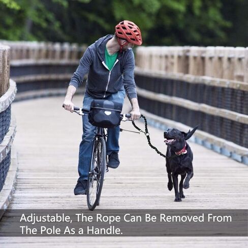 مقود دراجة الكلب المرفق من ODIER مقود الكلب للاستخدام الخارجي بدون استخدام اليدين للكلاب الصغيرة والمتوسطة، مقود الجري سريع الإصدار in Kuwait